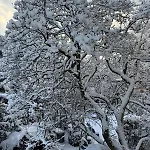 70qm 3-zimmer Am Tauernradweg In Bei Salzburg, Nahe Berchtesgaden, Rossfeld, Kehlsteinhaus, Obersalzberg, Watzmann, Schoenau Am Koenigsee, Bad Vigaun, Schloss Hellbrunn, Burg Hohen Salzburg, Burg Hohen Werfen # Beherbergungsbetrieb Apartmán *