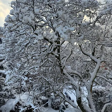 70qm 3-zimmer Am Tauernradweg In Bei Salzburg, Nahe Berchtesgaden, Rossfeld, Kehlsteinhaus, Obersalzberg, Watzmann, Schoenau Am Koenigsee, Bad Vigaun, Schloss Hellbrunn, Burg Hohen Salzburg, Burg Hohen Werfen # Beherbergungsbetrieb アパート *