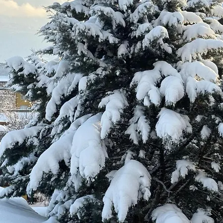 70qm 3-zimmer Am Tauernradweg In Bei Salzburg, Nahe Berchtesgaden, Rossfeld, Kehlsteinhaus, Obersalzberg, Watzmann, Schoenau Am Koenigsee, Bad Vigaun, Schloss Hellbrunn, Burg Hohen Salzburg, Burg Hohen Werfen # Beherbergungsbetrieb アパート *