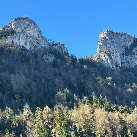 アパート 70qm 3-zimmer Am Tauernradweg In Bei Salzburg, Nahe Berchtesgaden, Rossfeld, Kehlsteinhaus, Obersalzberg, Watzmann, Schoenau Am Koenigsee, Bad Vigaun, Schloss Hellbrunn, Burg Hohen Salzburg, Burg Hohen Werfen # Beherbergungsbetrieb ハライン