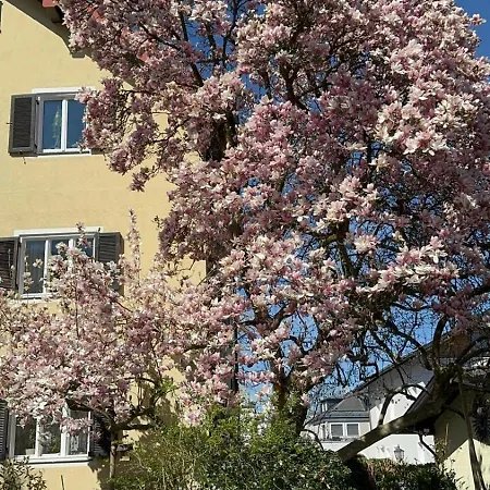 3 Zimmer Apartment Salzburg Süd, Salzburg Stadt Umgebung, Ferienwohnung in Hallein, südlich von Salzburg und östlich von Berchtesgaden