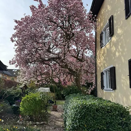 3 Zimmer Apartment Salzburg Süd, Salzburg Stadt Umgebung, Ferienwohnung in Hallein, südlich von Salzburg und östlich von Berchtesgaden
